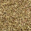 印度进口小茴香期货价格 Fennel Seeds