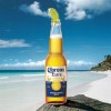 墨西哥科罗娜啤酒 Corona Beer