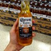墨西哥科罗娜啤酒到岸价 Corona Beer