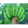 越南进口香蕉产地直供 Cavendish Banana