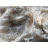 印度棉花出口商 Cotton