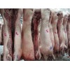 西班牙二分体/六分体猪肉货源 Pork