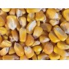 巴西玉米期货 Yellow Corn
