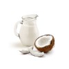 求购印尼冷冻椰浆 Indonesian Frozen coconut cream wanted
