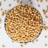 巴西非转基因大豆供应价格 Soybeans