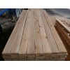 Camphor PineCamphor Pine board/Larch board/birch log wanted 求购章松板材/落叶松板材/桦木原木