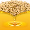 俄罗斯豆油大量供应 Soybean Oil